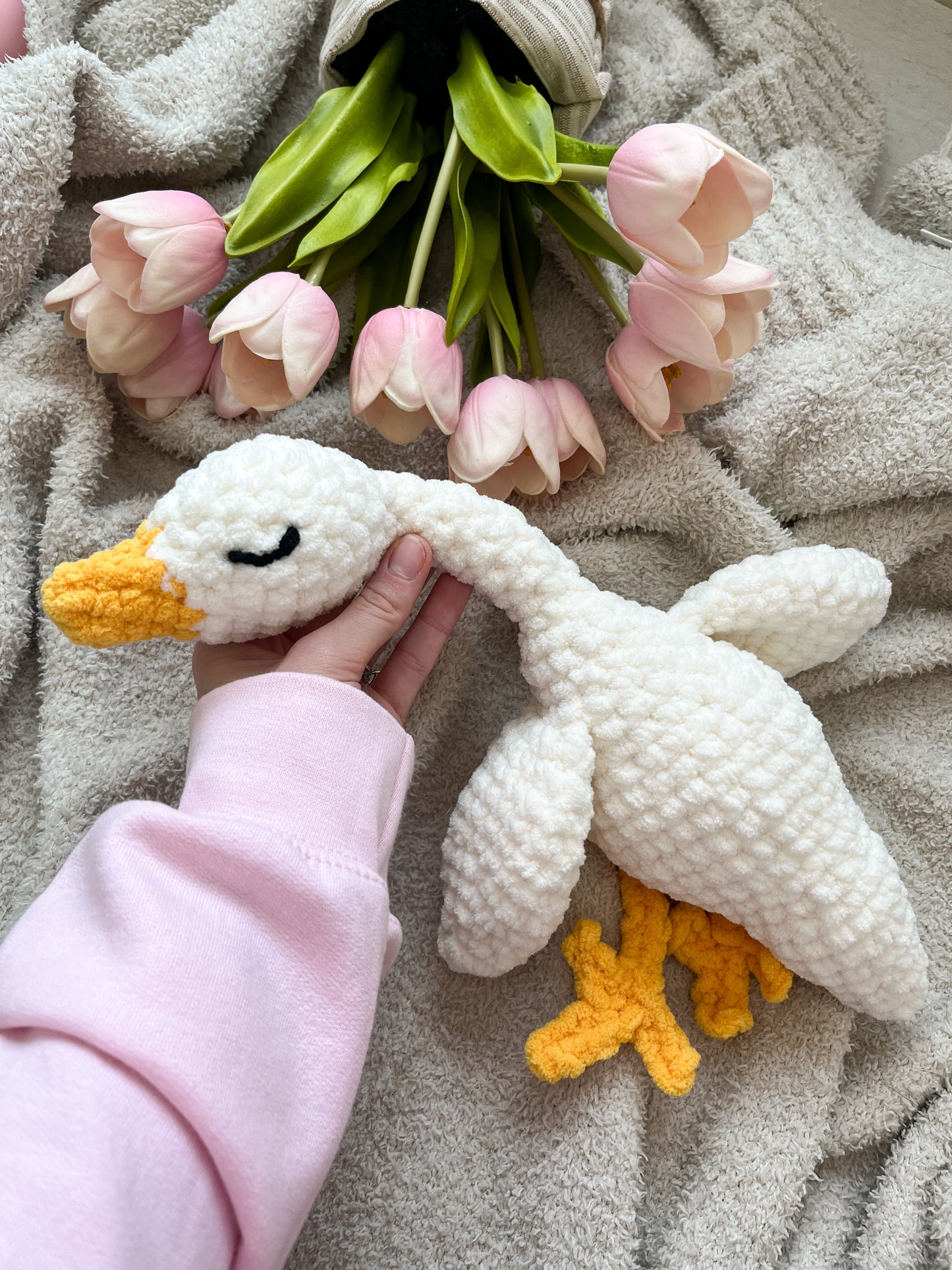 Sleepy Goose